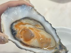 美国刺身生蚝-渔文乐·海鲜大排档(壹品总店)