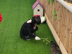 -麻涌飞鸭开心农场
