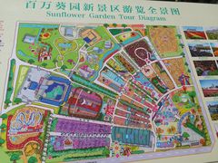 -百万葵园