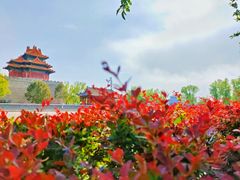 -故宫博物院(故宫)