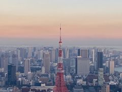 -六本木新城展望台(东京城市景观)