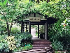-中国茶叶博物馆(双峰馆区)