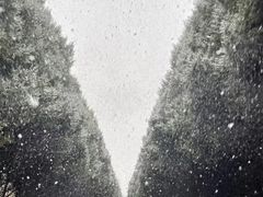 -秦始皇帝陵博物院-丽山园