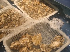 -鲜小岛·铜锅涮肉