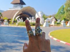 -清迈夜间动物园