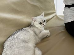 -宠颐生中康贝怡动物医院