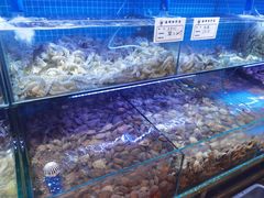 水产区-前王院•巧克力海鲜市集餐厅(万平口店)