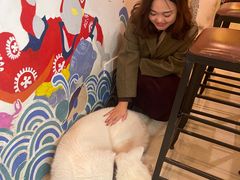 -餐酒吧Com-ing Bar(上海路店)