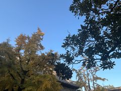 -龙华素斋(龙华路店)