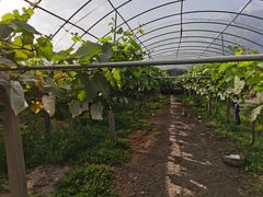 -美家乐农庄·露营·团建(大治路店)