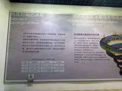 -中国第四纪冰川遗迹陈列馆