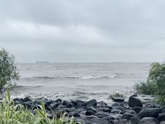 -上海吴淞炮台湾国家湿地公园