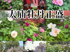 -北京市劳动人民文化宫(太庙)