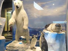 -国家自然博物馆