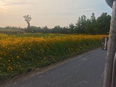 -七的湖·晚芳亭·阳澄湖农家菜·大闸蟹(莲花岛店)