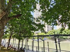 -苏州河梦清园环保主题公园