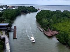 -东寨港红树林旅游区