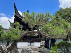 -碧丽宫大酒店(召稼楼店)