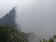 -王顺山国家森林公园
