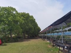 -嘉北郊野公园