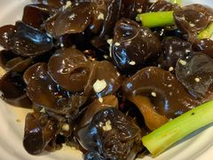 养生小木耳-老佛爷蛙锅•鲜蛙煲(麦凯乐店)