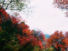 -石门坊