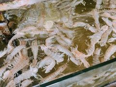 -钱大妈海鲜饭店(保利林语店)