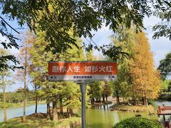 -森波拉奇妙世界