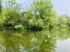 -留芳·文旅古月楼(老街店)