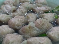 -肉燕扁食草包飯(东街店)