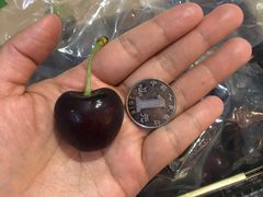 -东方鼎信农副产品交易中心