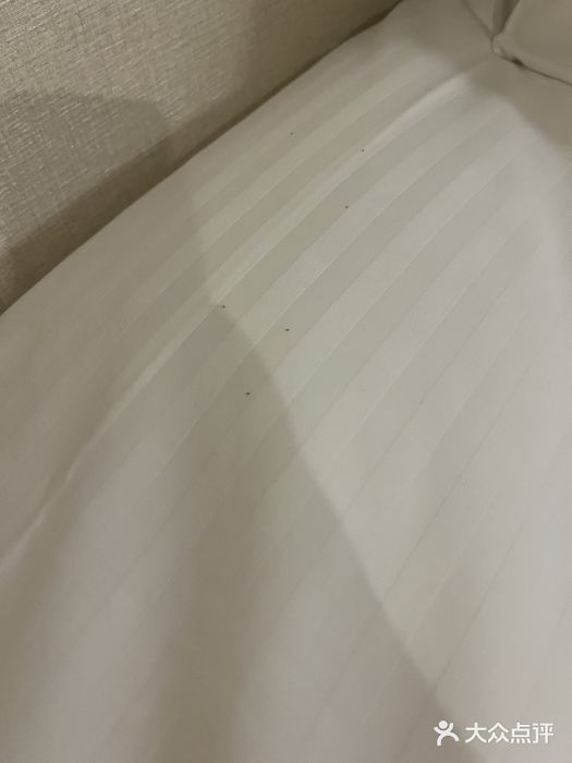 那覇索尔维塔酒店图片