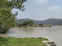 -南北湖风景区