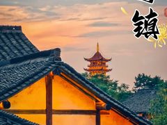 景点-乌镇景区