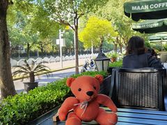 -MAAN COFFEE(金桥店)
