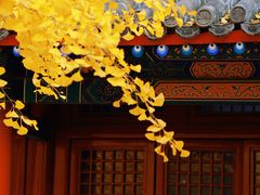 -承恩寺