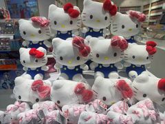 -天虹购物中心(石路店)