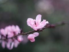 -堤角公园