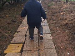 -武汉开心果园农业发展有限公司