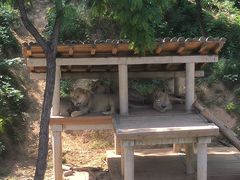 -石家庄市动物园