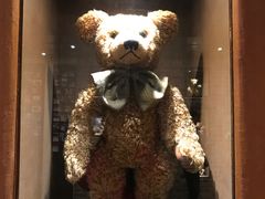 -济州岛泰迪熊博物馆