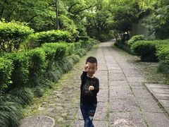 -法云古村