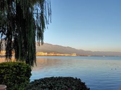 -洱海月湿地公园