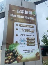 -蓝呗呗蓝莓草莓采摘园(通州区马驹桥店)