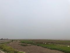 -南汇嘴观海公园