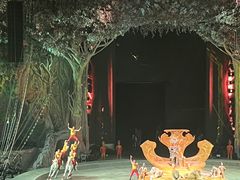 -广州长隆国际大马戏