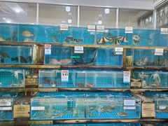 -锐记美食店·现捞海鲜(闸坡店)