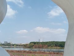 -海珠湖公园