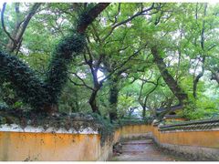 -普陀山风景名胜区-法雨禅寺