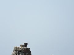 -神龙仙岛景区